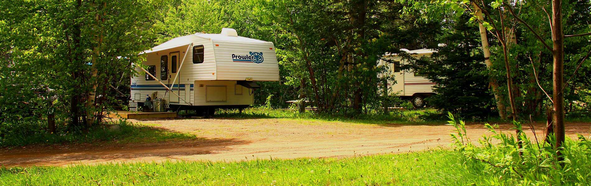 RV sites among the trees at Brookdale